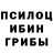Псилоцибиновые грибы мухоморы DAMIRA TURSUHALIEBA