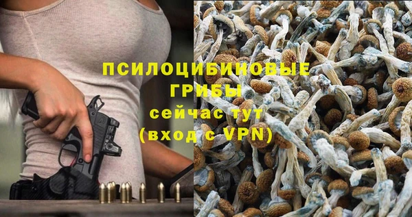 спиды Козловка