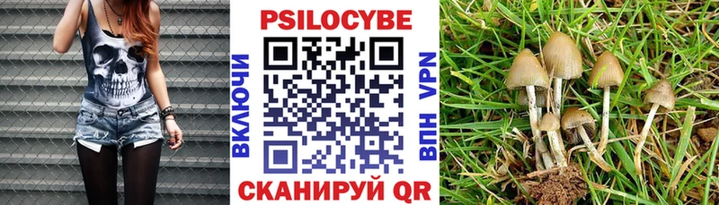 наркошоп  Кстово  Галлюциногенные грибы прущие грибы 