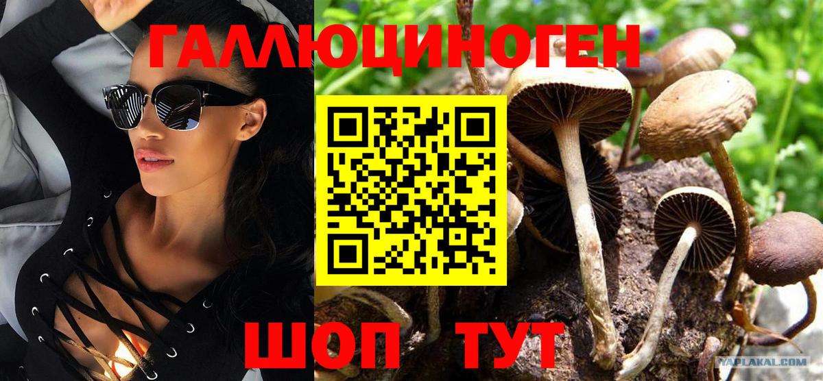 Кстово  Псилоцибиновые грибы Cubensis  Вход с VPN 